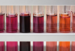 little glass tubes with coloured liquid